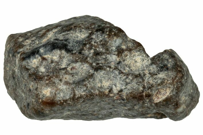 Lunar Meteorite ( g) - NWA #302740
